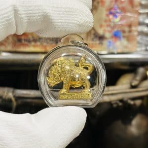 【招财避险山猪】