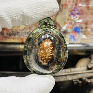 【挡降贝 + 护法鬼王天神】