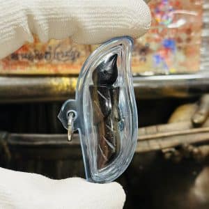 【金舌人缘鸟】