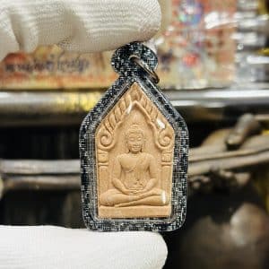 【坤平将军 + 下山虎】