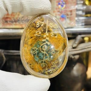 【超强捞金成愿猫胎盘】