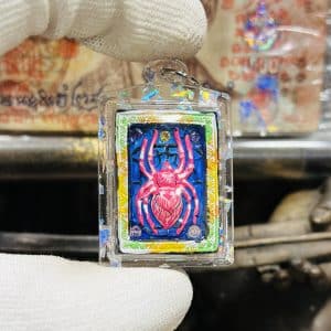 【招财蜘蛛皇】