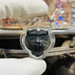 【权威老虎头】