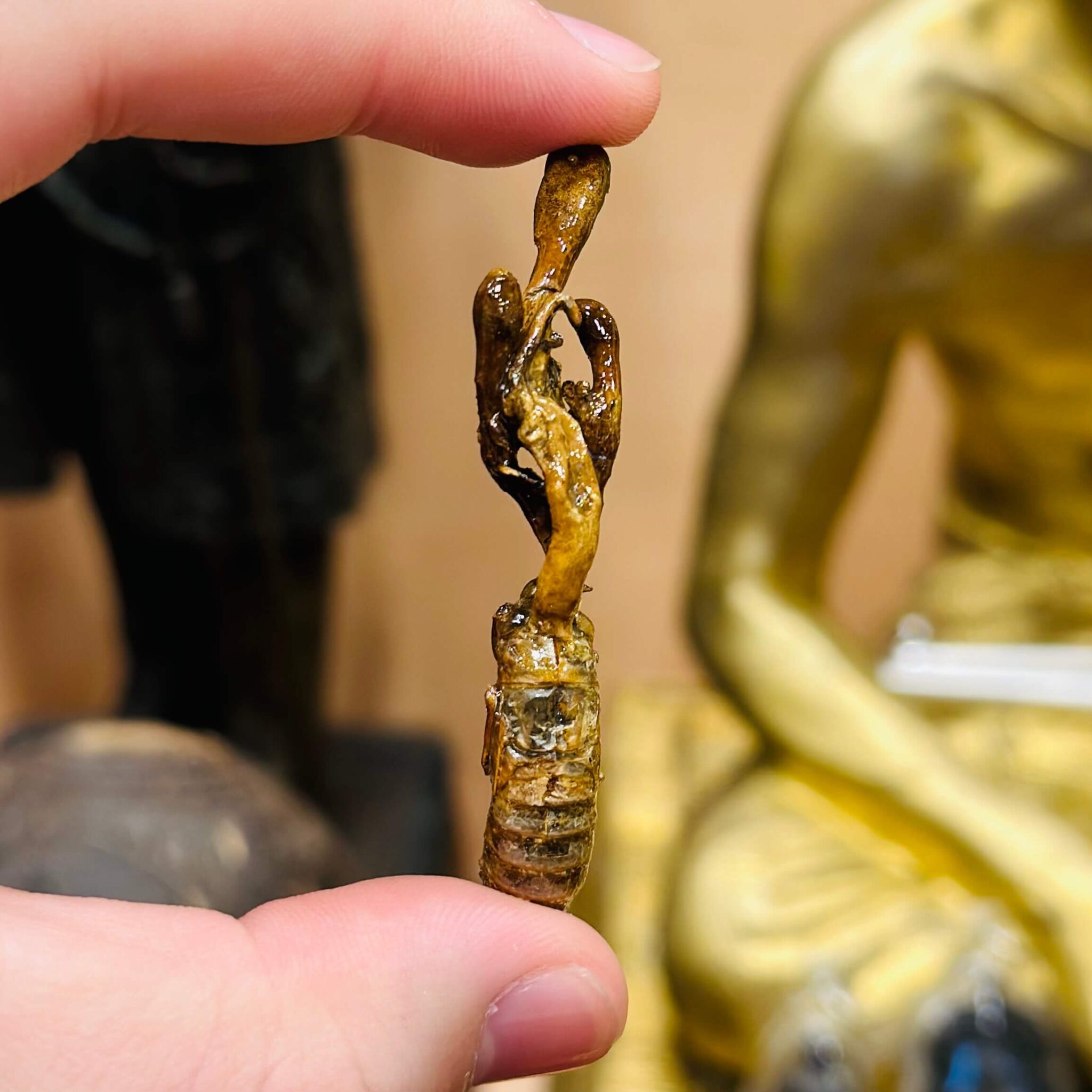 Image_20251203152256_2146_14