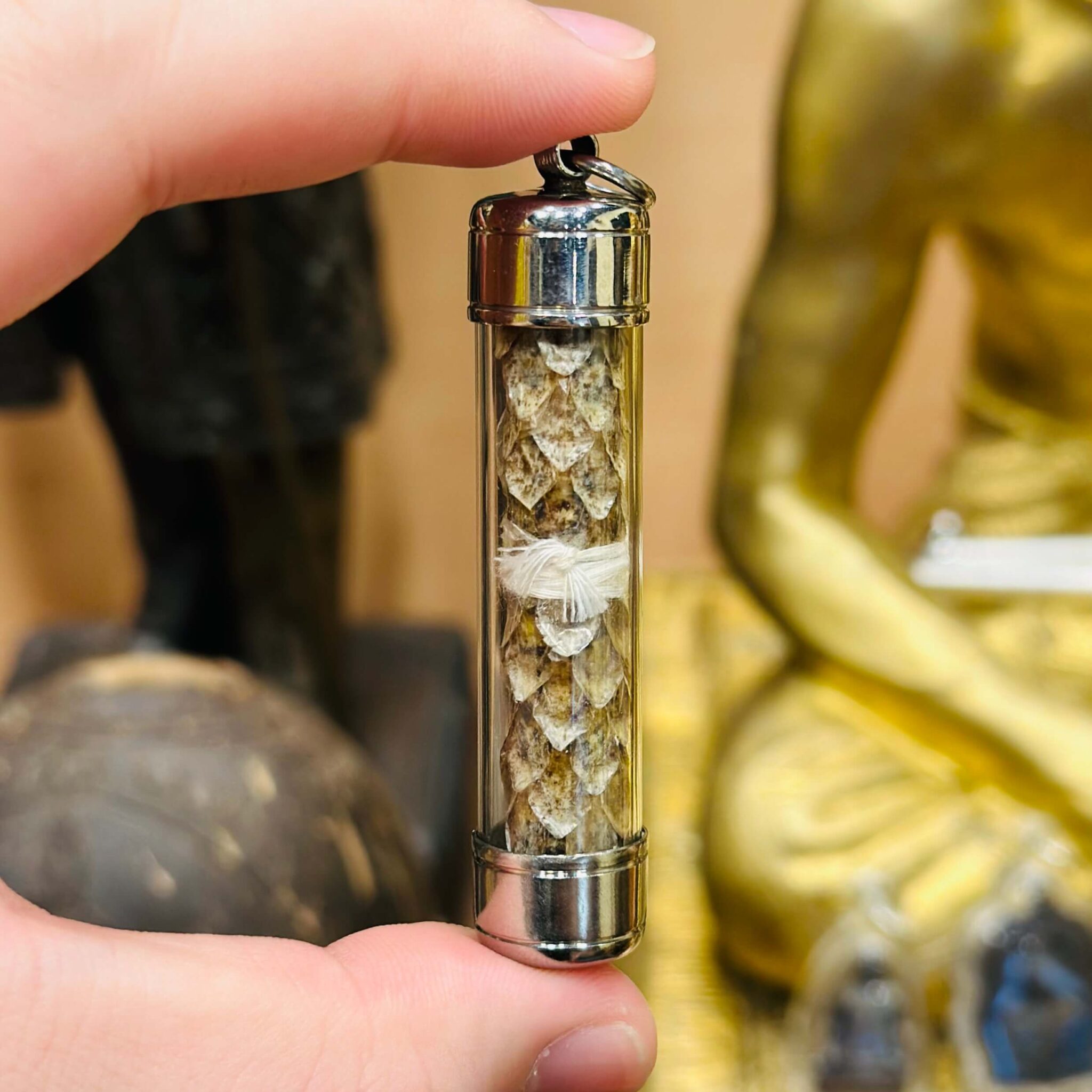 Image_20251206155321_2179_14