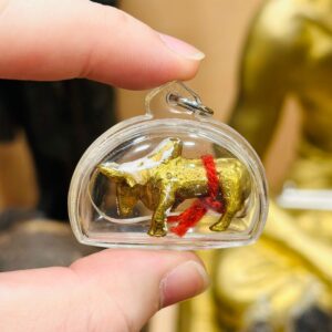 【阿赞胜｜挡降牛】