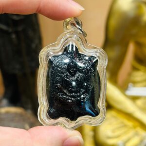 【龙婆汶塔｜力泥自身法相】