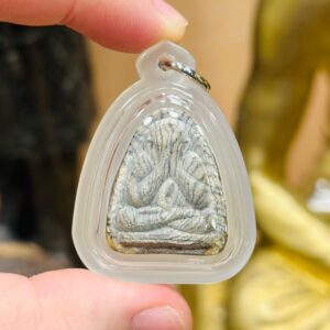 【龙婆培｜虎纹必达】