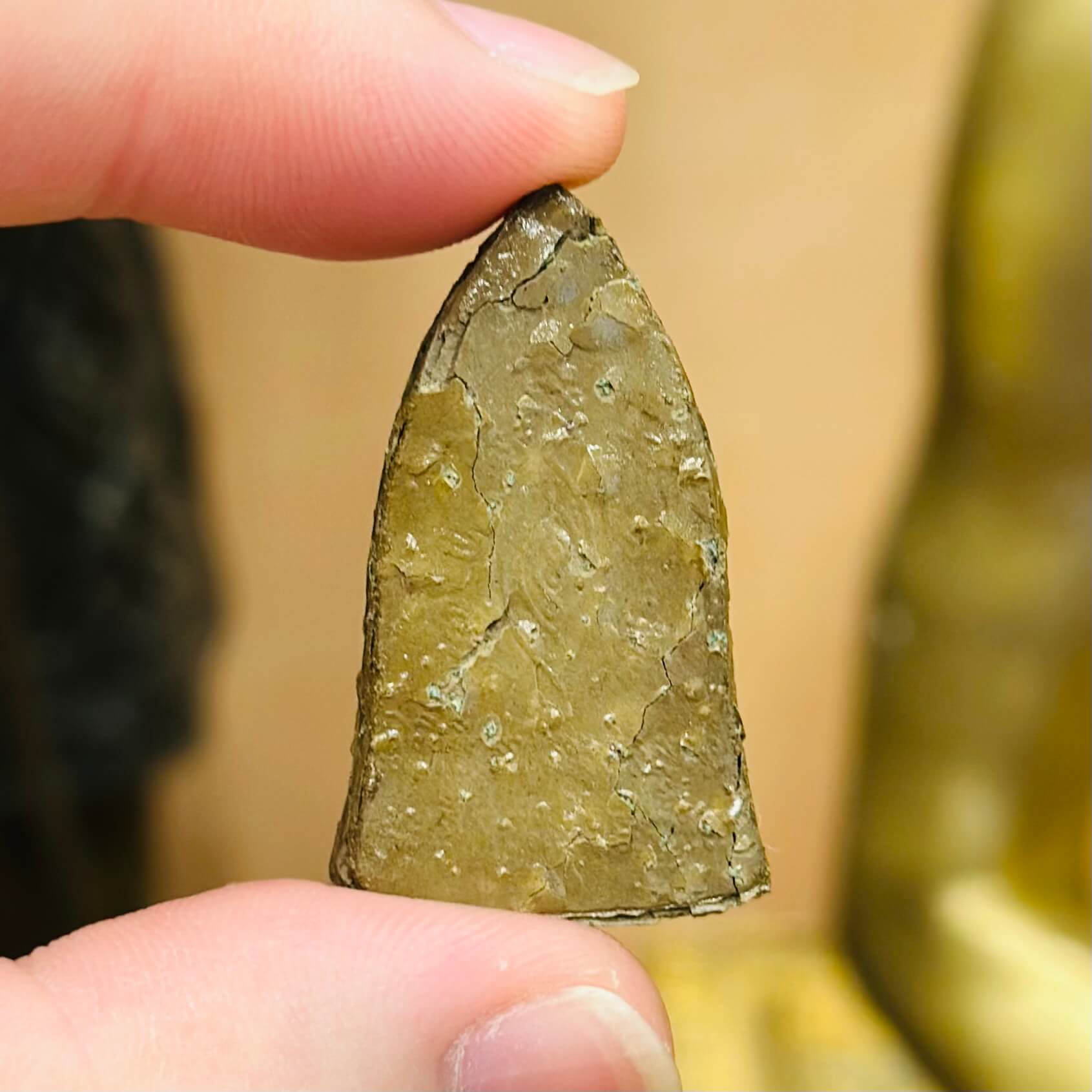 Image_20260114121817_2991_14