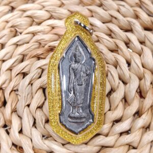 【佛历2500｜大法会行走佛】