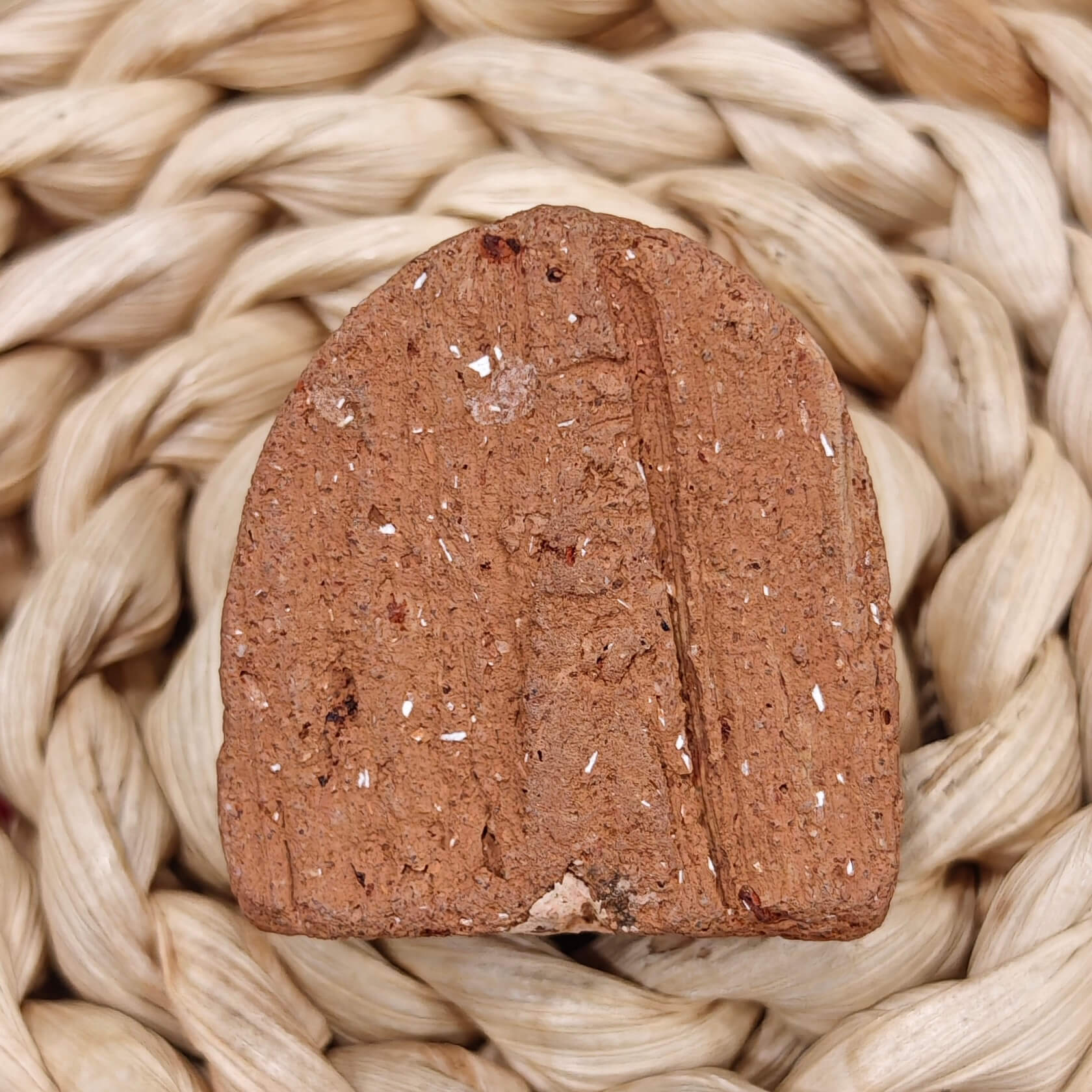 Image_20260328210845_4543_14