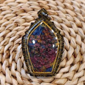 【龙普东｜佛陀启发世界】