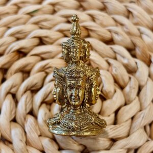 【龙婆龙耐｜泽度金天神】
