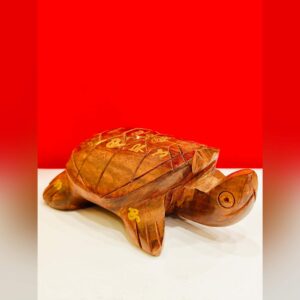 【龙婆本｜招财龟】