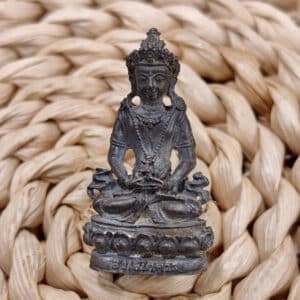 【龙婆卡贤｜西藏药师佛 第二期】